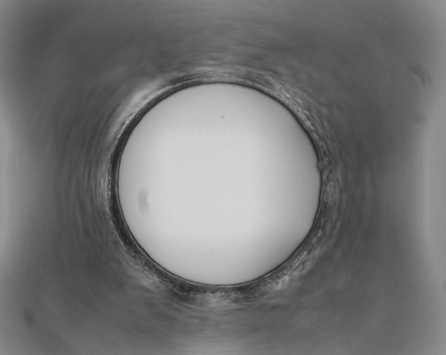 X0000112050103200908251007