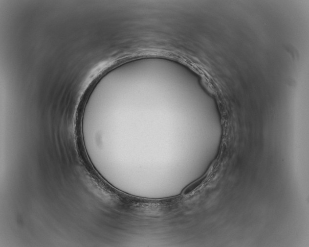 X0000112050104200908251007