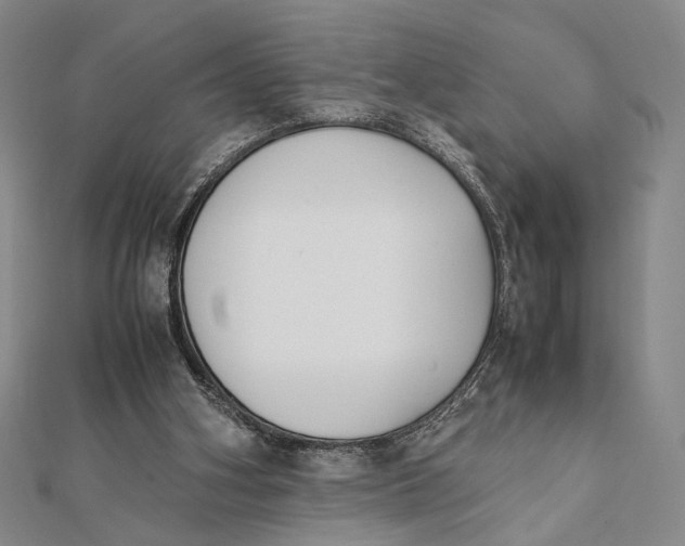 X0000112050106200908251007