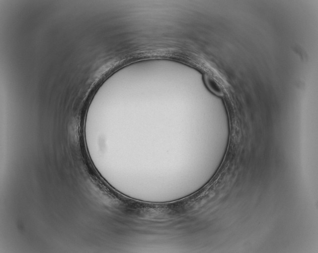 X0000112050107200908251007