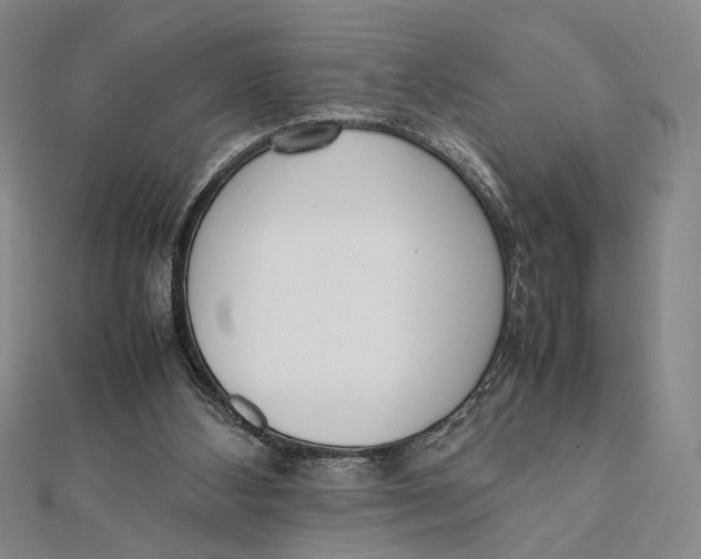 X0000112050108200908251007