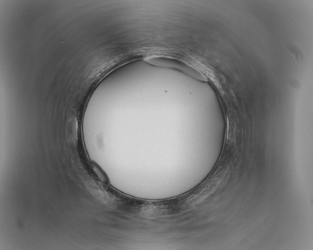 X0000112050109200908251007