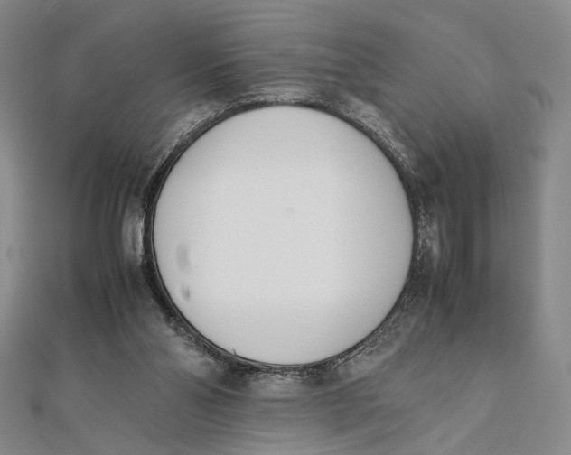 X0000112050110200908251007