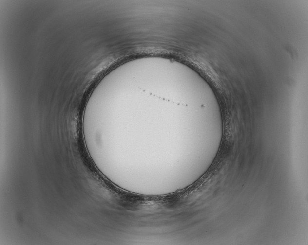 X0000112050111200908251007