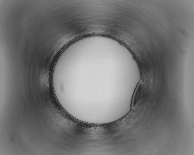 X0000112050112200908251007