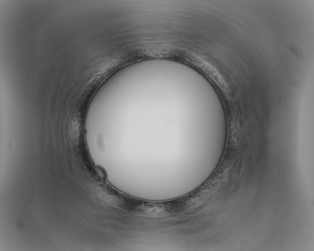 X0000112050113200908251007