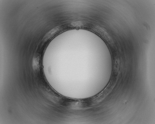 X0000112050116200908251007