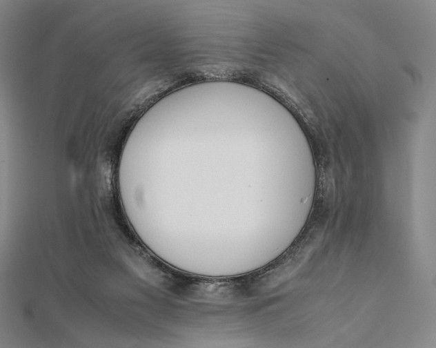 X0000112050117200908251007