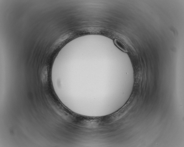 X0000112050120200908251007