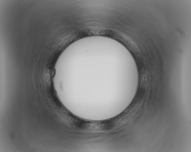 X0000112050121200908251007