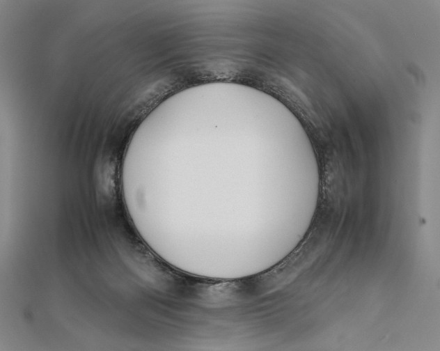 X0000112050122200908251007