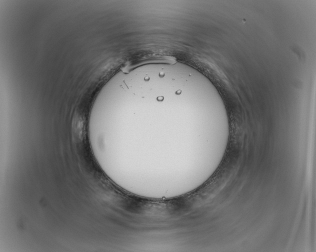 X0000112050123200908251007