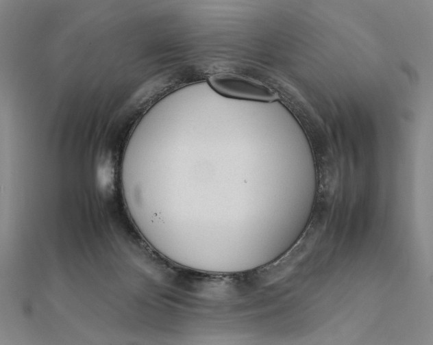 X0000112050124200908251007