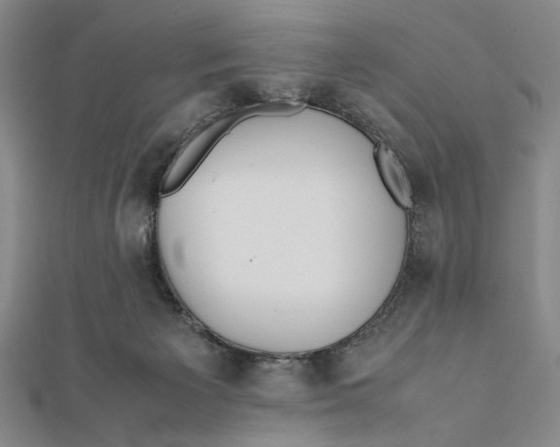 X0000112050125200908251007