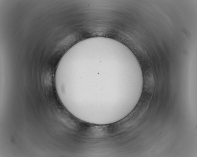 X0000112050126200908251007