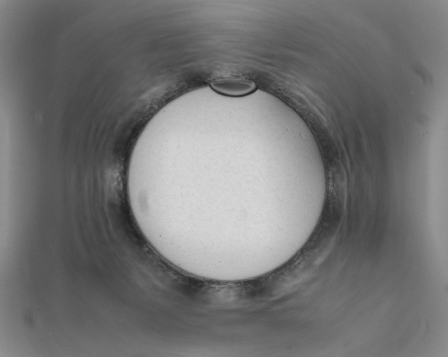 X0000112050127200908251007