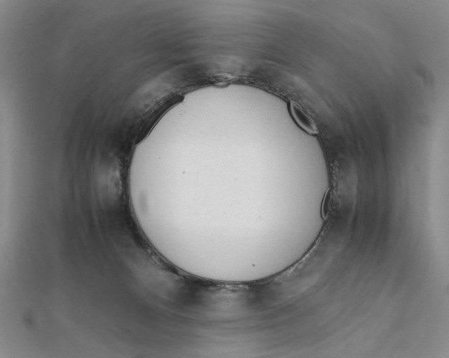 X0000112050128200908251007