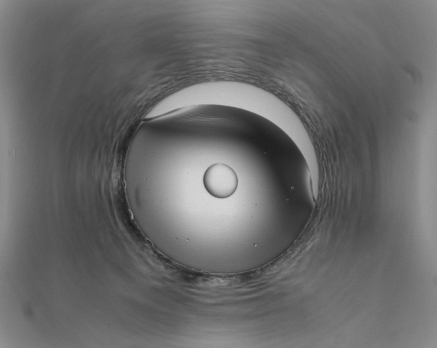 X0000112050129200908251007