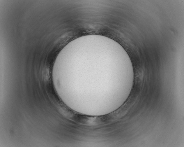 X0000112050130200908251007