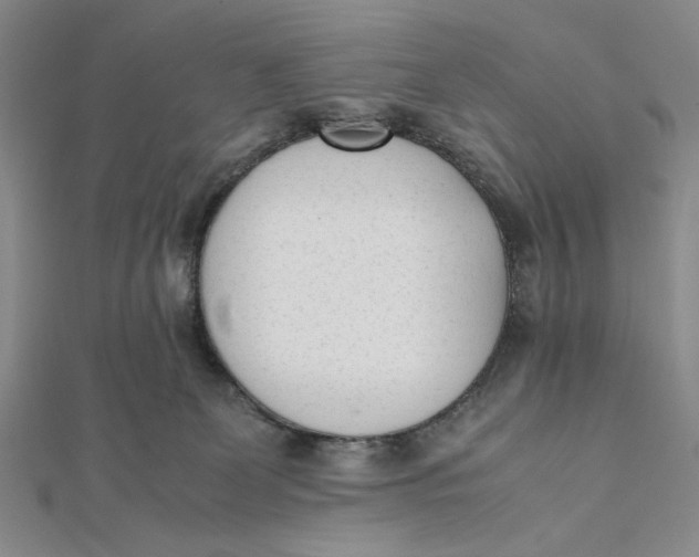 X0000112050131200908251007