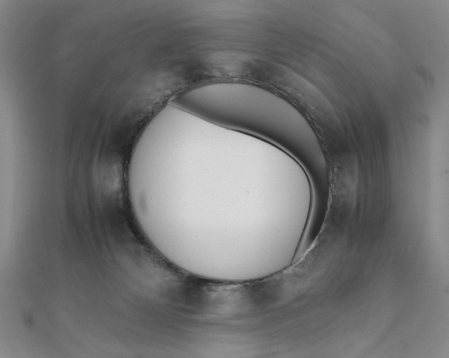 X0000112050132200908251007