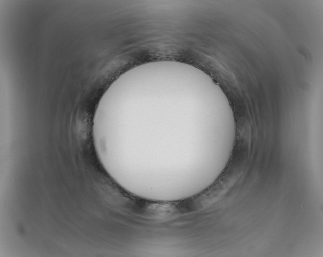 X0000112050133200908251007