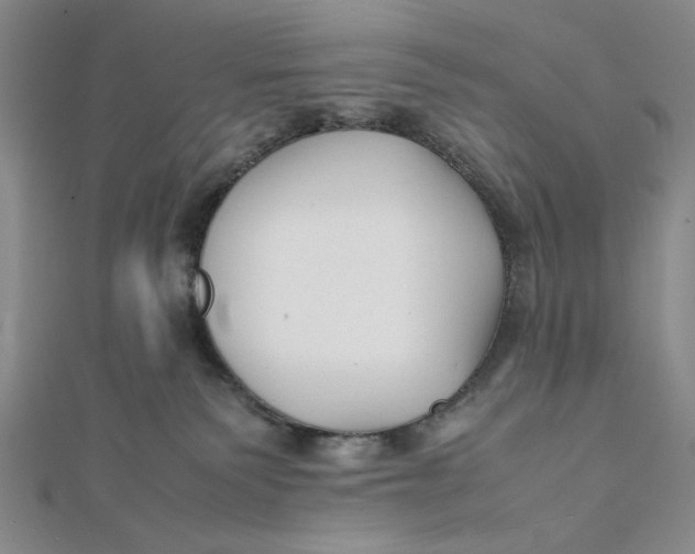 X0000112050135200908251006