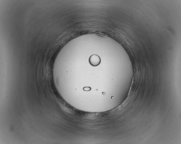 X0000112050136200908251006