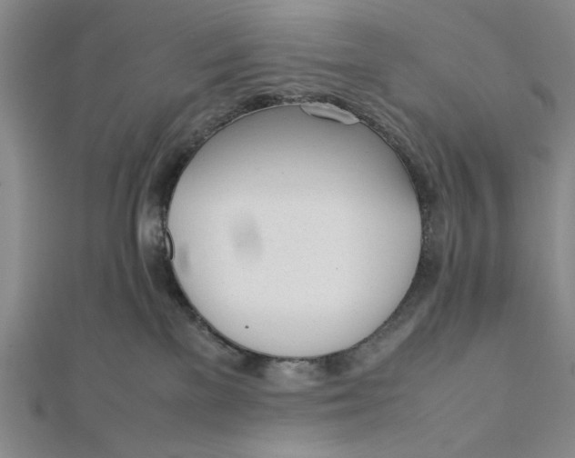 X0000112050137200908251006