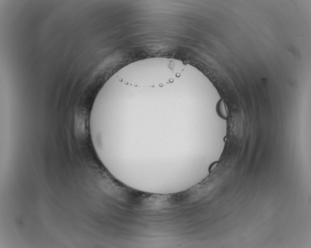 X0000112050138200908251006