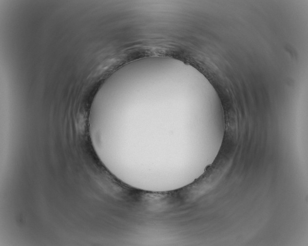 X0000112050139200908251006