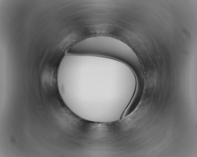 X0000112050140200908251006