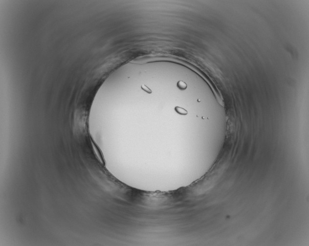 X0000112050141200908251006