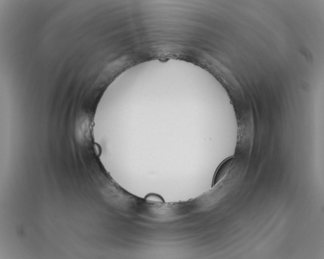 X0000112050142200908251006