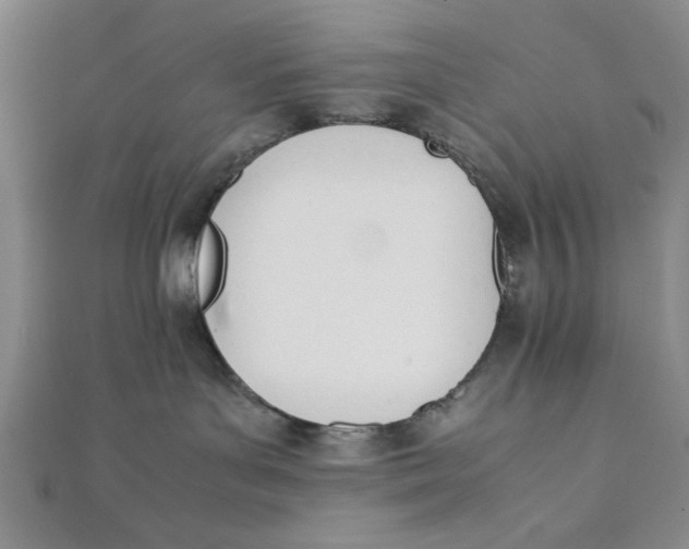 X0000112050143200908251006