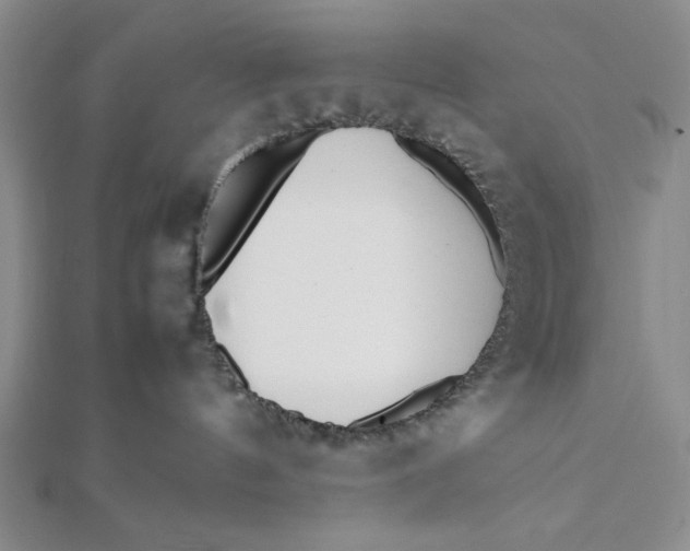 X0000112050144200908251006