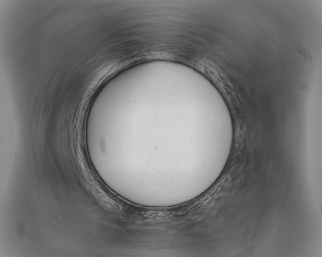 X0000112050145200908251006