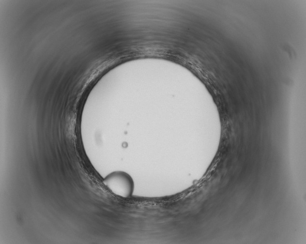 X0000112050146200908251006