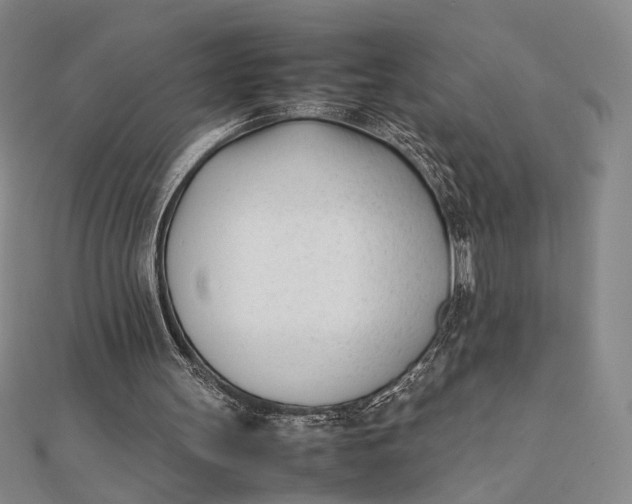 X0000112050147200908251006