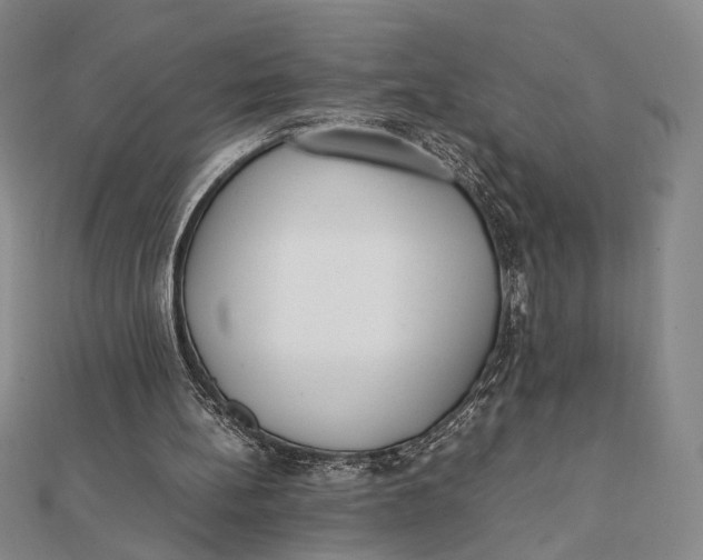 X0000112050148200908251006