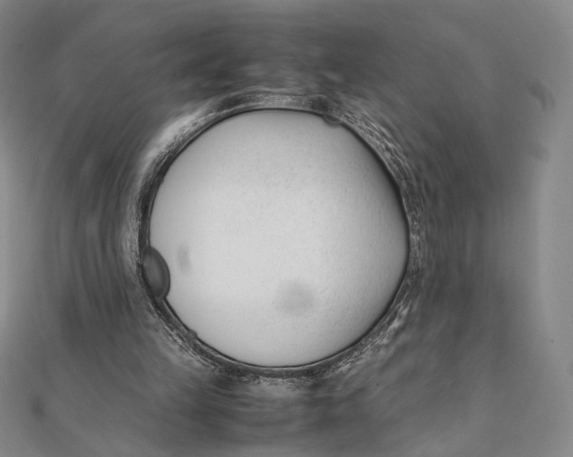 X0000112050149200908251006