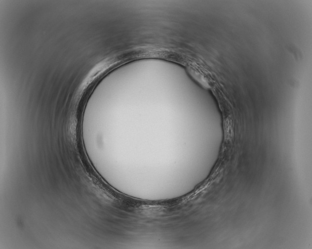 X0000112050150200908251006