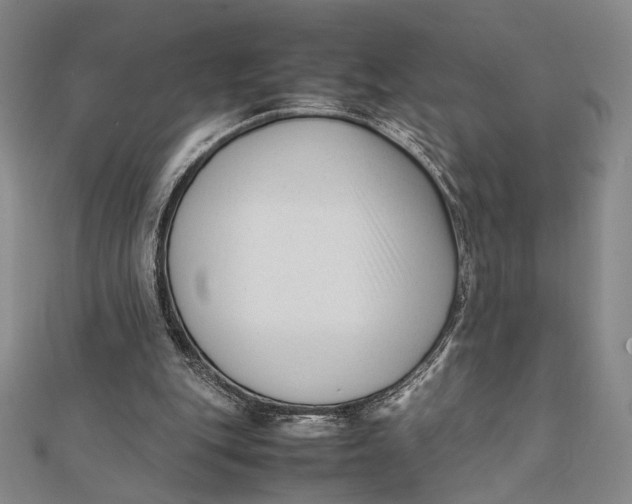 X0000112050151200908251006