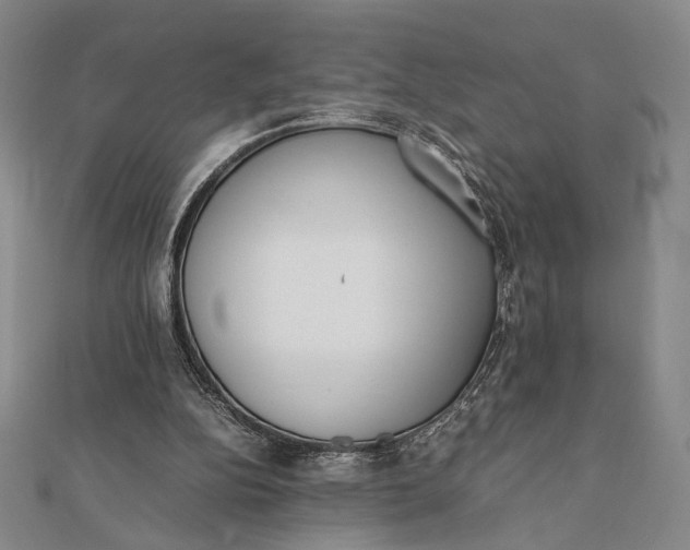 X0000112050152200908251006