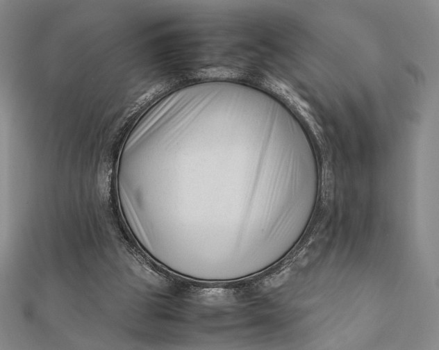 X0000112050153200908251006