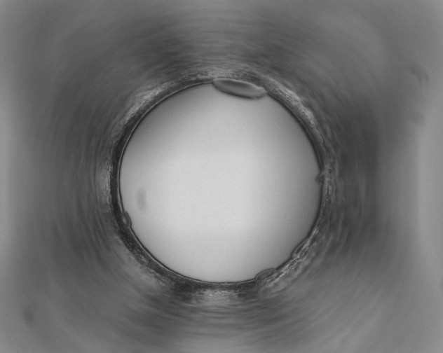 X0000112050154200908251006