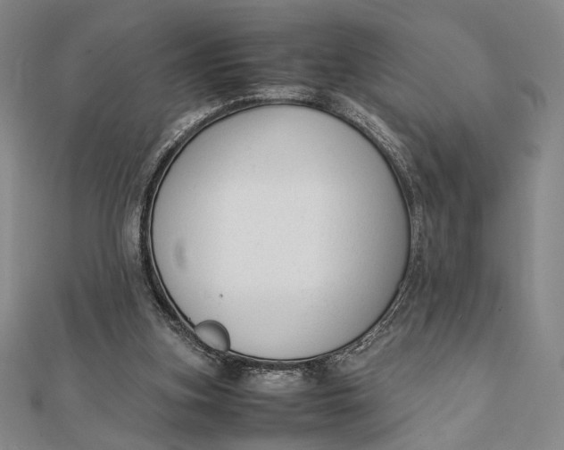 X0000112050155200908251006