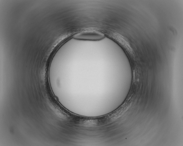 X0000112050156200908251006