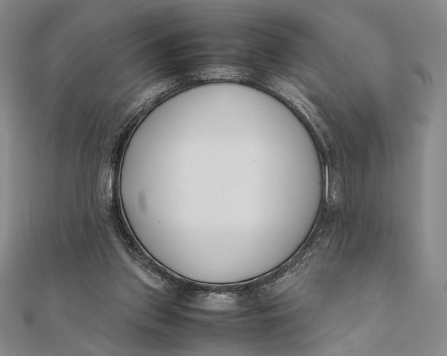 X0000112050157200908251006