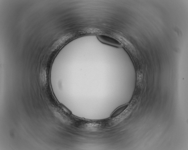 X0000112050158200908251006